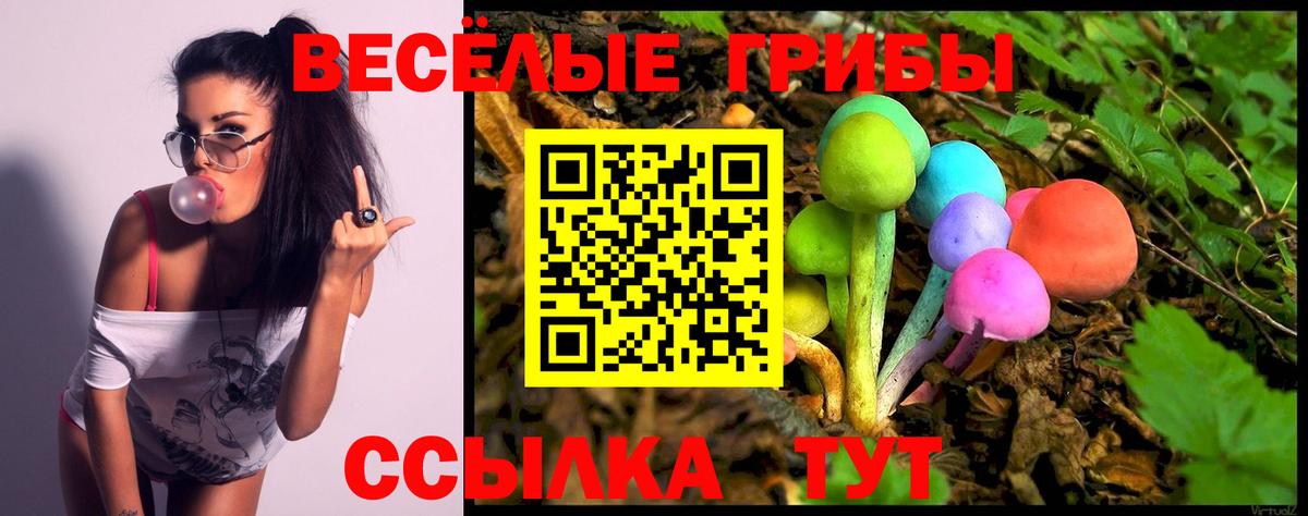 Нарткала  Галлюциногенные грибы Psilocybine cubensis  Галлюциногенные грибы MAGIC MUSHROOMS  Вход с VPN 